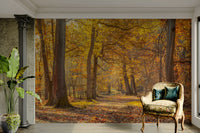 Serene woodland floor.

