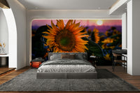 Warm light bathes the flowers and background.
