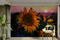 The scene is set during a sunset or golden hour.
