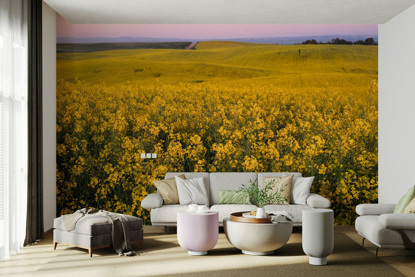 There's a sense of openness, warmth, and natural beauty.
