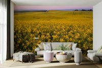 There's a sense of openness, warmth, and natural beauty.
