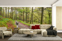 The image shows a peaceful path winding through a lush forest.

