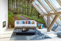 The light filters through the trees, creating a soft, magical effect.

