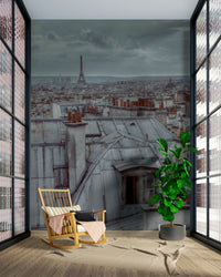 The image shows a panoramic view of classic Parisian roofs and chimneys.

