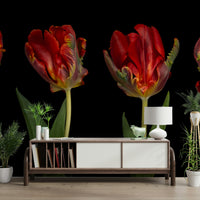 The image is a close-up against a solid black background.

