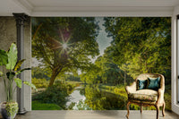 The mood is peaceful and fresh.

