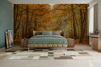 A close-up view of the detailed leaves and sunlit path.

