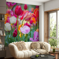 The image shows a close-up view of tulips in full bloom.

