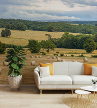 The image shows a field of grain ready for harvest.

