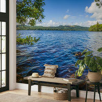 The colors are muted tones of gray, green, and brown.

