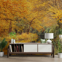 The trees and leaves are golden, yellow, and orange.

