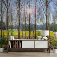 The light creates beautiful patches on the ground.

