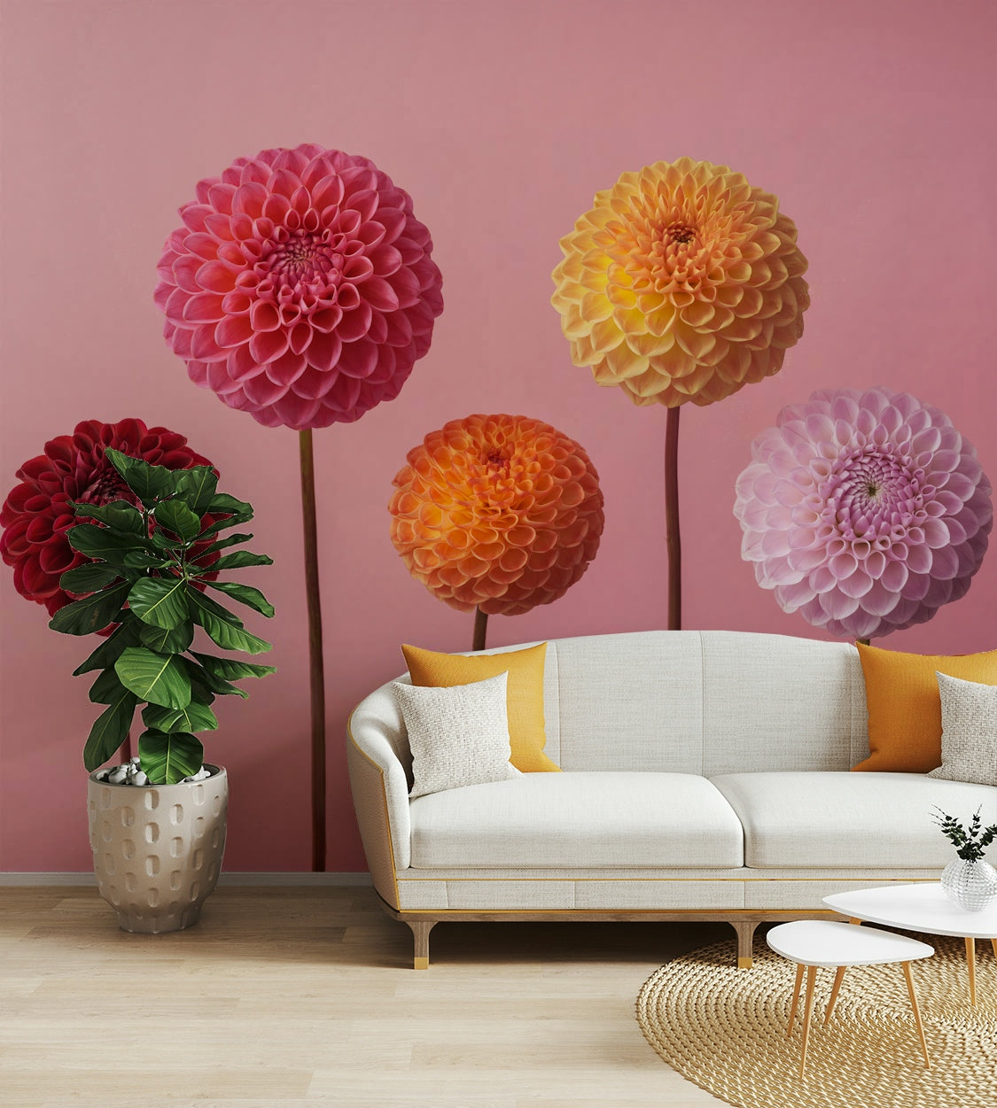 The background is a solid soft pink.

