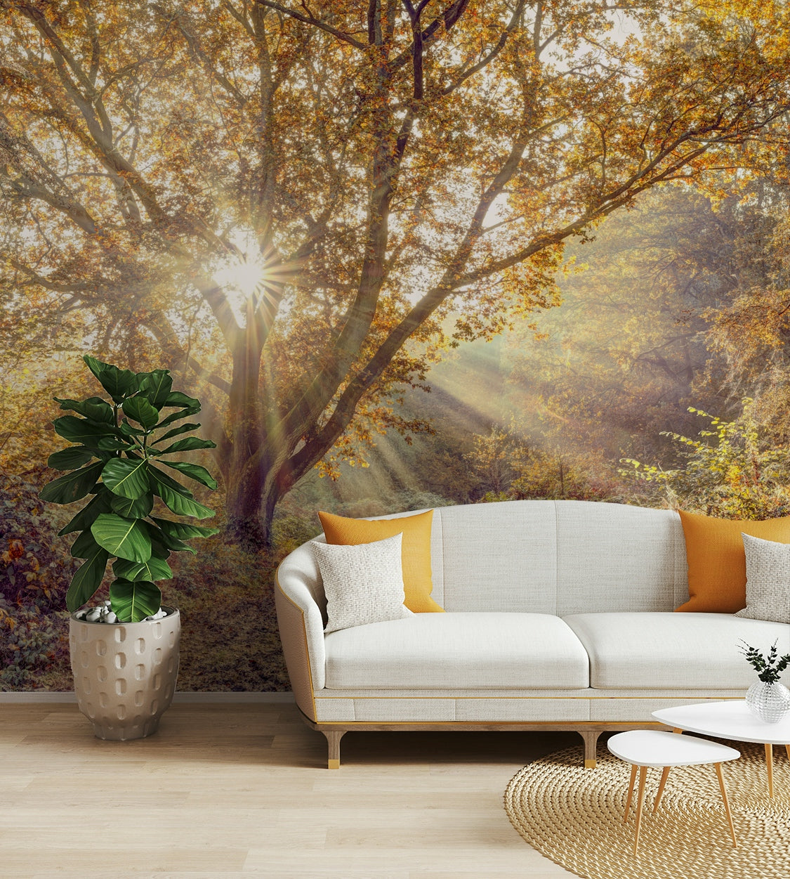 The trees and light are a central focus of the image.

