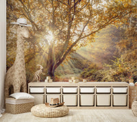 The image shows a serene, artistic woodland scene.

