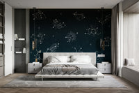 The zodiac symbols and constellations are a central focus of the image.

