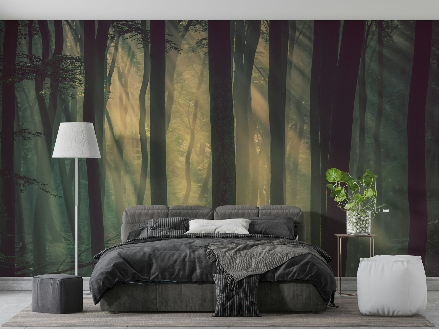 The image shows an artistic impression of a serene forest with glowing elements.

