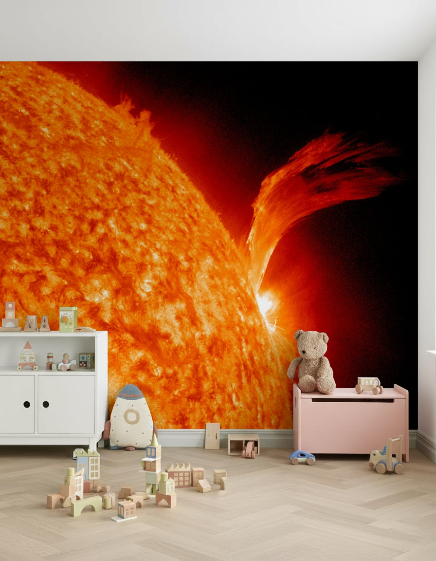 Sun's Fury Wall Mural