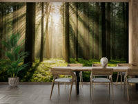 It gives the illusion of a window looking out onto a beautiful forest.
