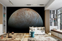 The color palette is muted, with shades of white, gray, and brown.
