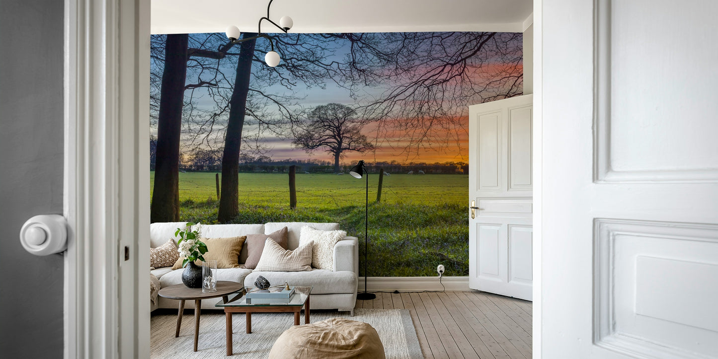 The design has a very calming and serene effect on the space.

