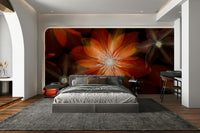 A close-up view shows the fine details of the flower petals.

