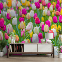 A high-quality print of a tranquil garden.

