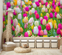 A calm and serene wall covering.

