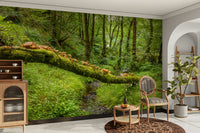 Wall mural of a peaceful forest floor.

