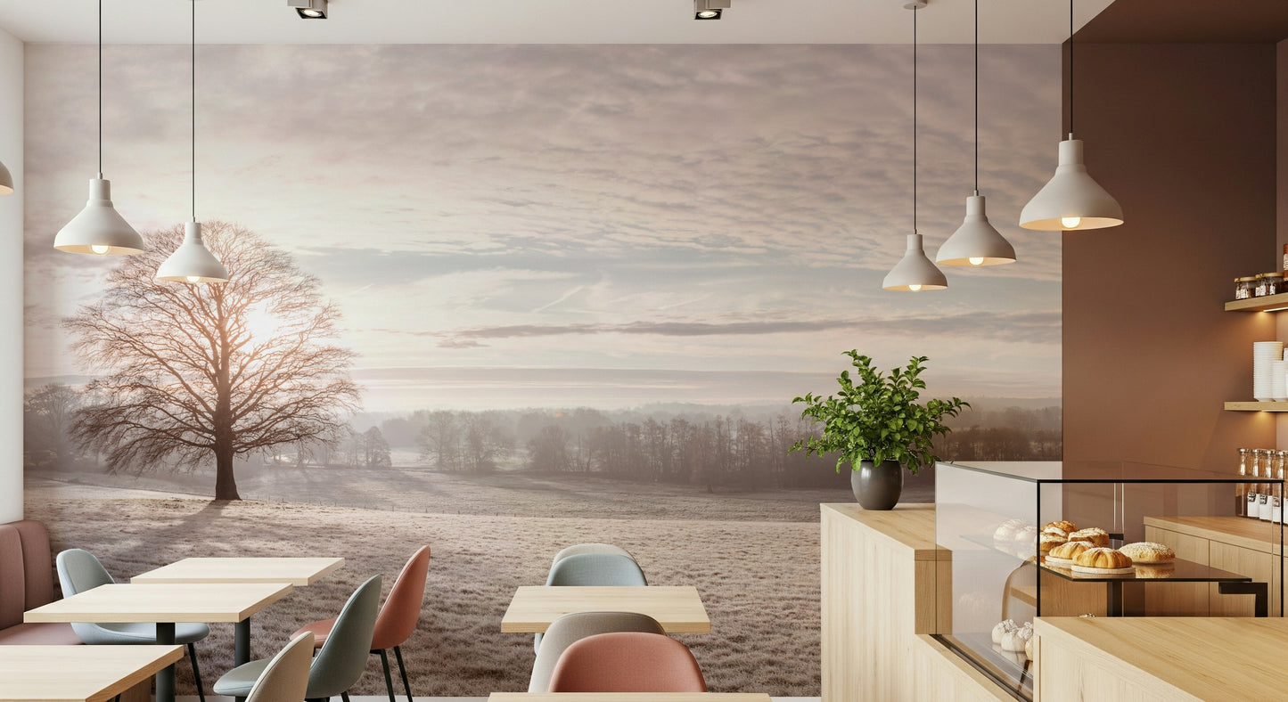 Winter's Soft Light Wall Mural