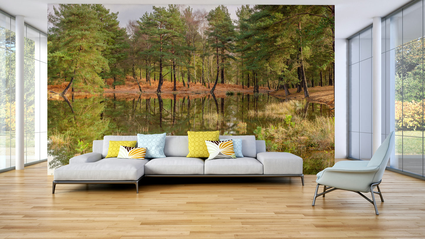 The mural shows a peaceful forest scene.

