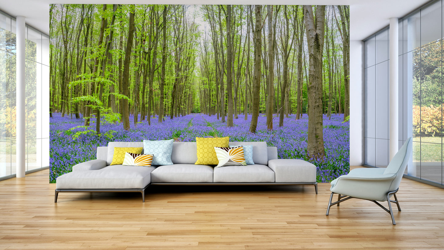 Wall mural with enchanted bluebell woods.

