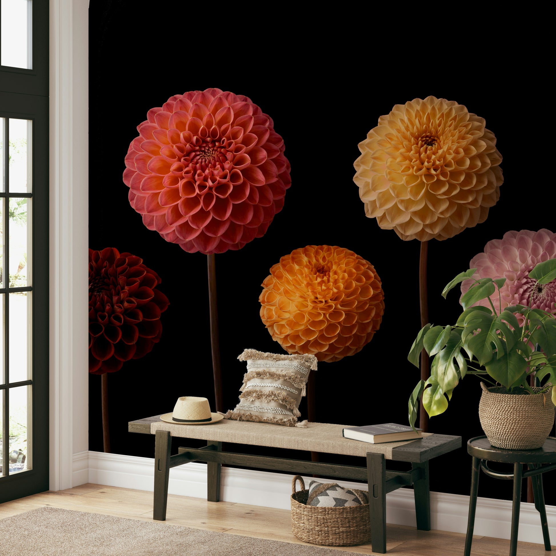 A high-quality print of a striking botanical display.

