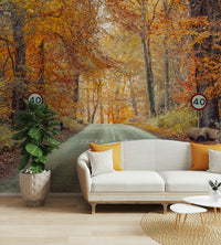 Wall mural of a scenic drive through fall colors.

