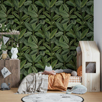 The leaves are large and detailed, with a mix of light and dark green tones.
