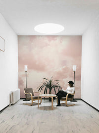 Pink pastel sky, detailed view

