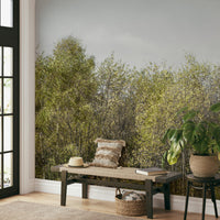 Birch Grove forest wall mural


