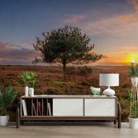 The wallpaper for walls being installed.

