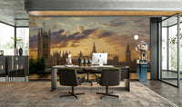 Royal and Regal luxurious mural wallpaper

