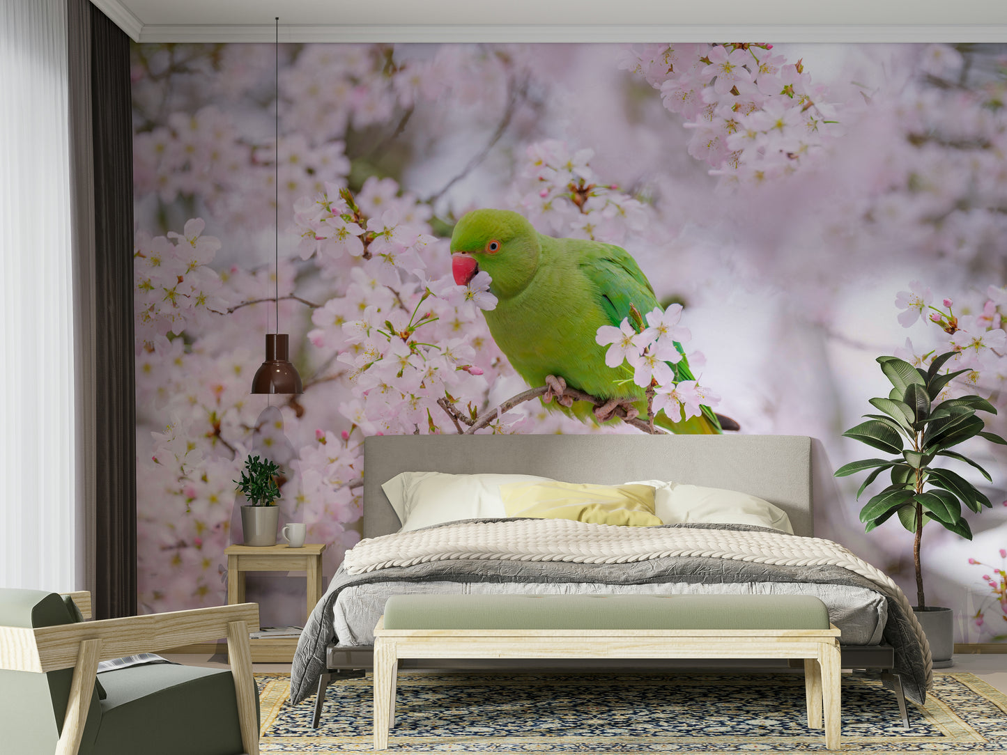 Blossom Bird nature wallpaper
