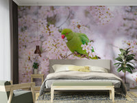 Blossom Bird nature wallpaper