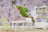 Blossom Bird graceful mural wallpaper
