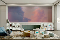 Pink Cloud sky mural