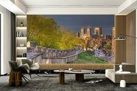 The wallpaper is used to create a feature wall in a dining room.

