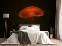 A beautiful aquarium scene wallpaper mural with colorful fish.

