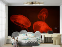 An artistic coral reef mural on minimalist wallpaper.

