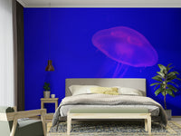A serene undersea adventure wall mural for your decor.

