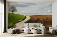 A beautiful rural landscape with a curved path.