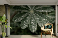 A detail shot of the elegant lines in the wallpaper.