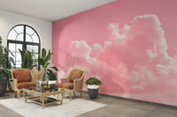 A graceful subtle pink tone wall mural in soft tones.

